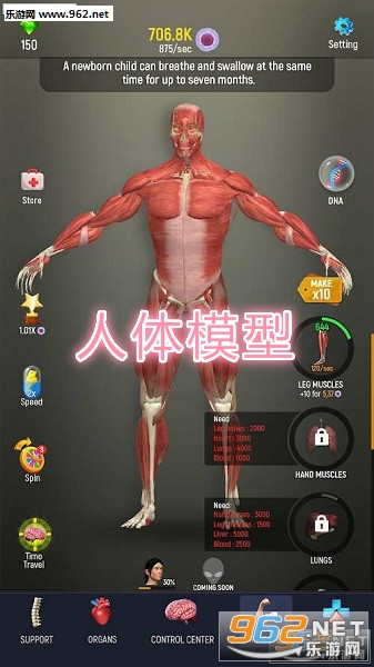 人体模型破解版