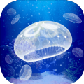 Jellyfish(ˮĸϷİ)