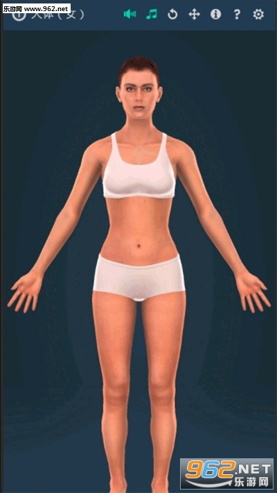 Human body (female)(ϵͳŮ3dרҵİ)v1.0(Human body female)ͼ0