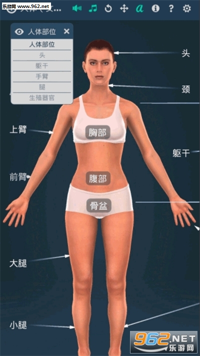 Human body (female)(ϵͳŮ3dרҵİ)v1.0(Human body female)ͼ1