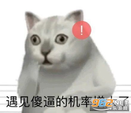 猫咪点头表情包gif-猫点头表情包动图gif下载-乐游网