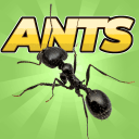 Pocket Ants(ڴģ)
