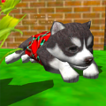 Cute Pocket Puppy 3D(Сģ)