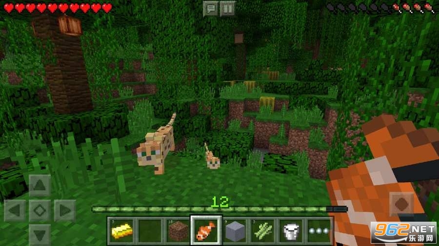 Minecraft1.16.50H֙C؈D1