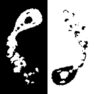 Yin Yang Fish(Ϸ)v1.0.2 (Yin Yang Fish)