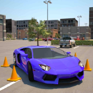 У3Dͣ(Driving School 3D Parking)޽Ұ
