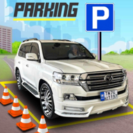 Car parking Airport Plane Car Parking Game 3D(ͣ3D°)