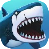 my shark showҵ