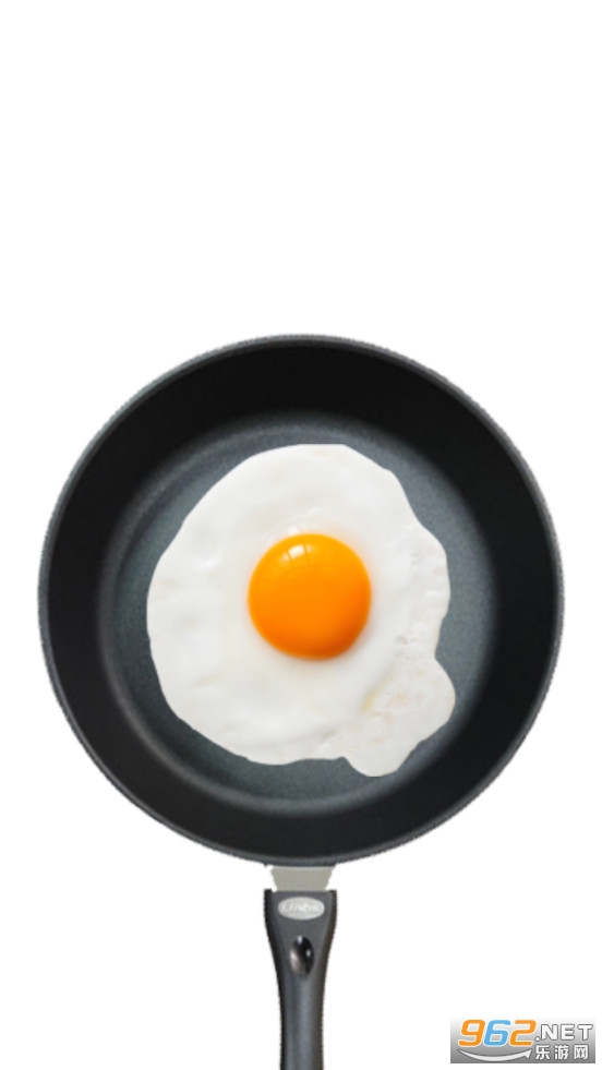 Fried Egg[