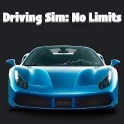 Driving Sim No Limits׿