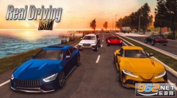 realdrivingsimƽ2021