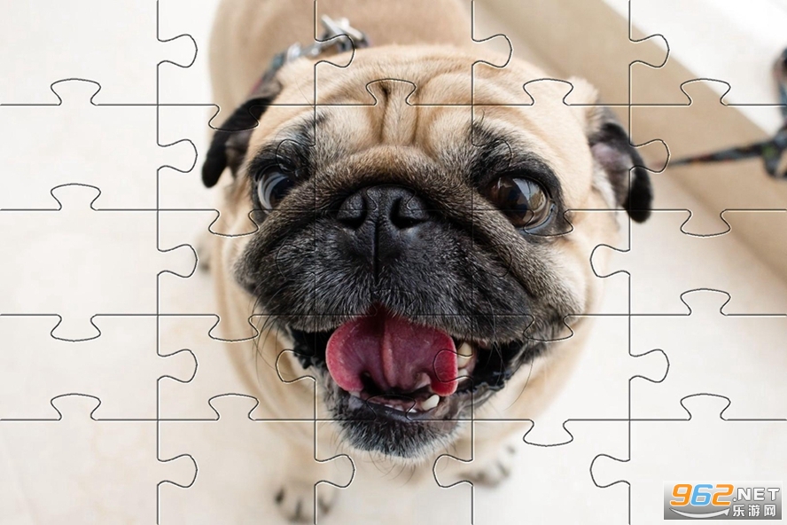 Pugs Jigsaw Puzzle(͹ƴͼֻϷ)v1.0.1 ׿ͼ1