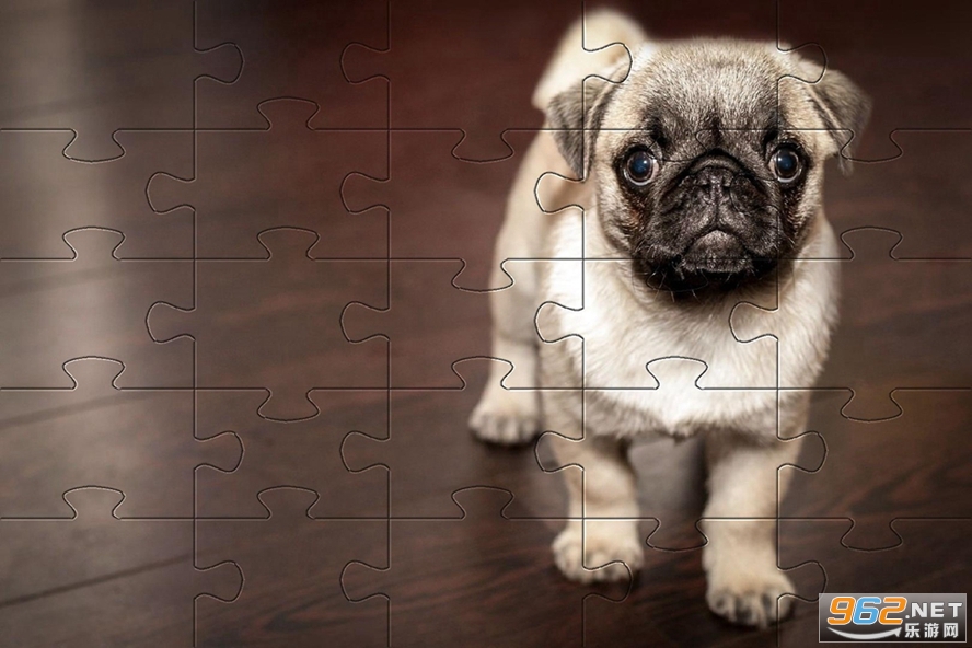 Pugs Jigsaw Puzzle(͹ƴͼֻϷ)v1.0.1 ׿ͼ2