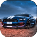 Mustang Driving&Parking&Racing Simulator 2021ҰR{ͣ܇֙Cd