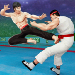 Karate Fighting(˫ֵ񶷴)