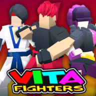 VitaFighters(Vita FightersȫӢ)