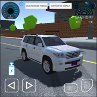 ½Ѳ󽢺ʿϷ(Land Cruiser Hilux Car Game 2021)