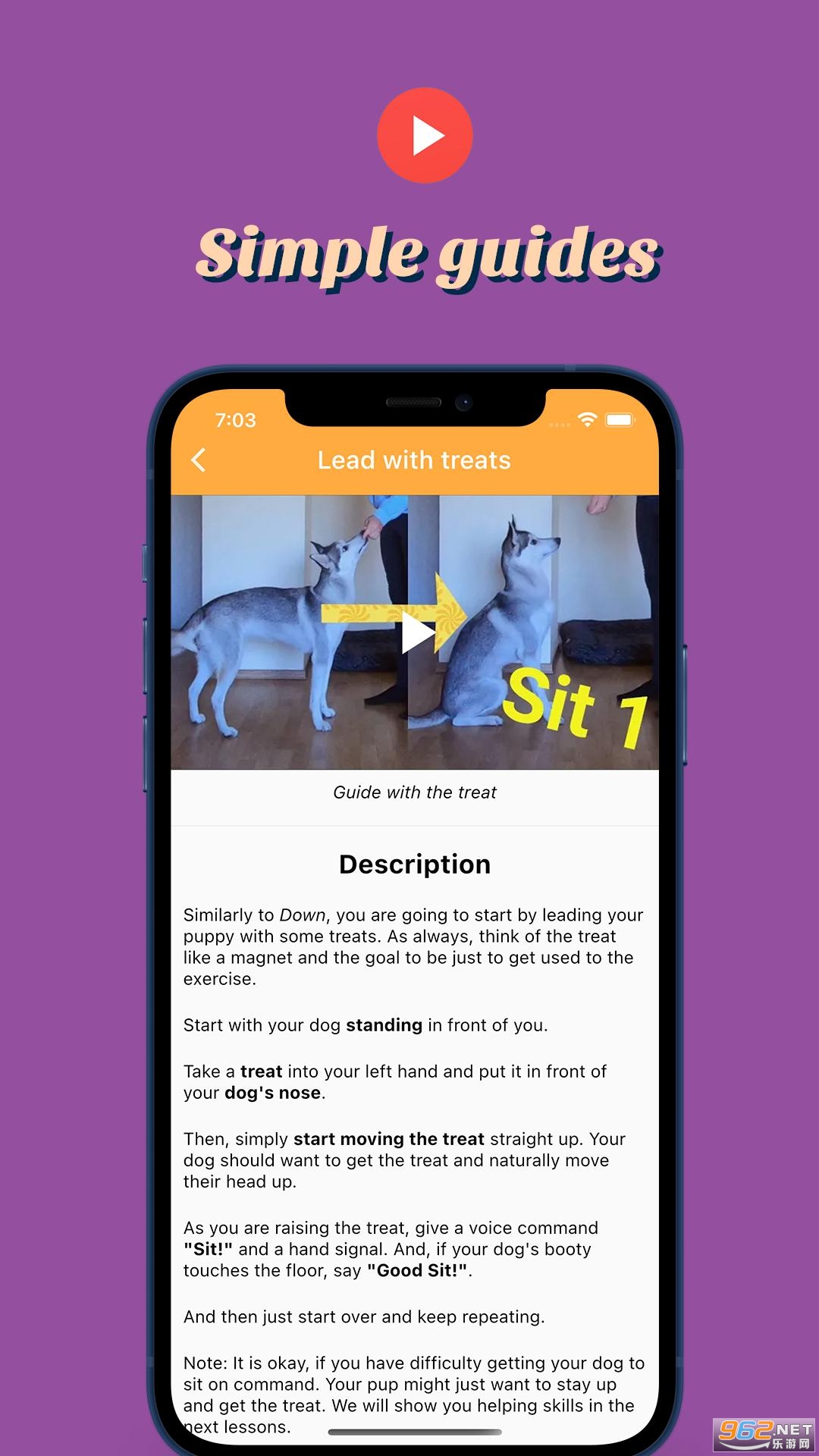 Pocket Puppy SchoolӖWУv2021 °؈D3