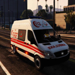 Emergency Ambulance Driver and Paramedic Simulation(ȻģѰ)