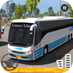 Public Coach Driving Simulator(й܇{ģM[)