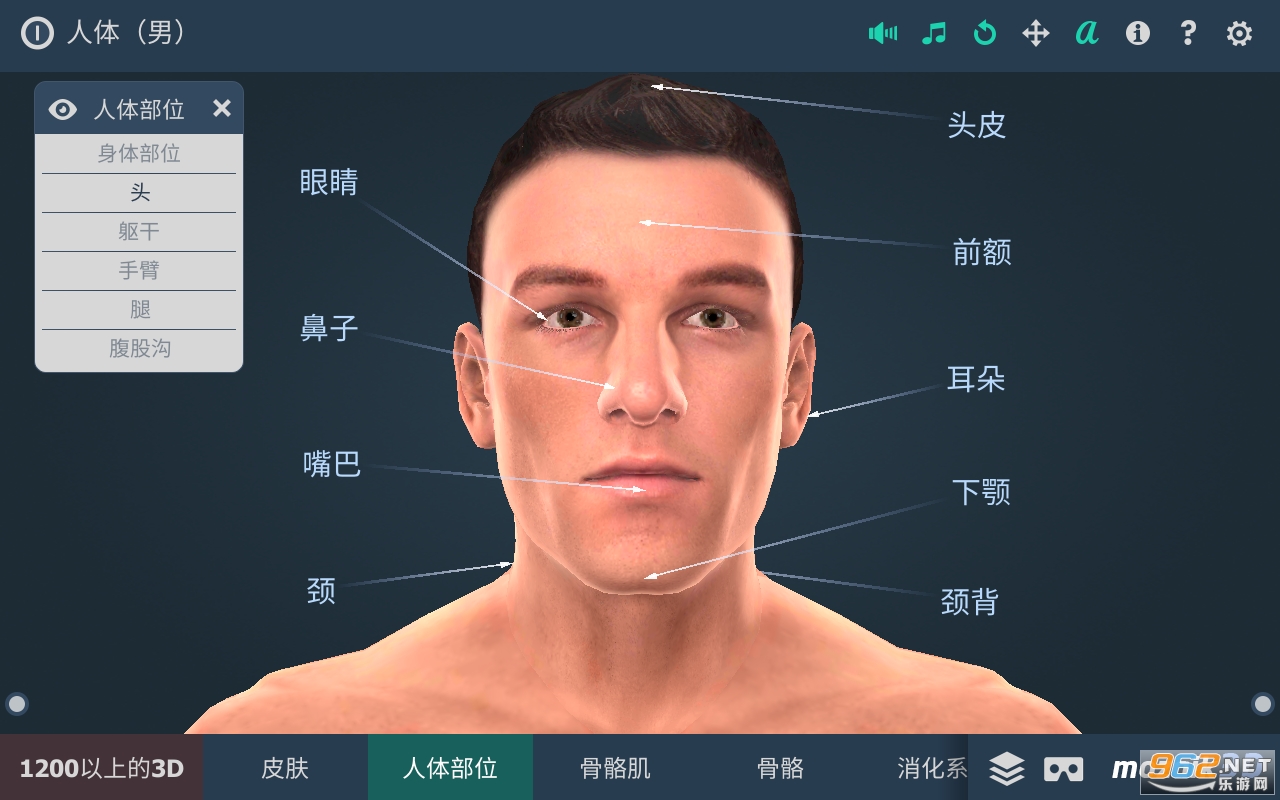 Human body (male)(ϵͳ3dİ)v1.24 app()ͼ1