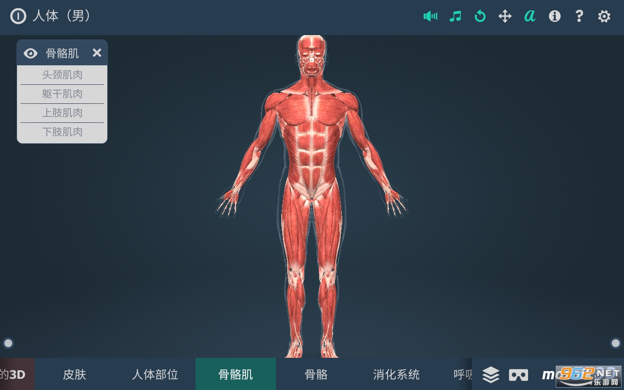 Human body (male)(ϵͳ3dİ)v1.24 app()ͼ0