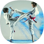 Taekwondo Guideٷ