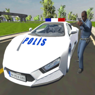Real Police Car Game(2021Ϸ)