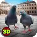 (City Bird Pigeon Simulator 3D)Pigeon SimulatorϷ