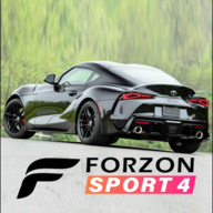 Forzon Sport 4(˶4ֻ)
