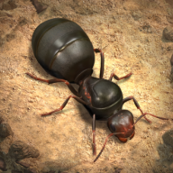 The Ants蚂蚁地下王国 手机版v1.15.2