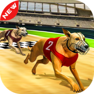Dog Race 3d(3DϷ)
