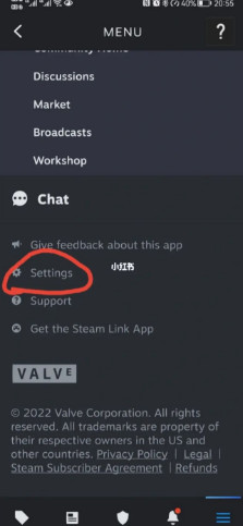 Ϊsteamֻapp׿