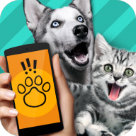 pet trabslator(Pet Translator) v1.1 最新版