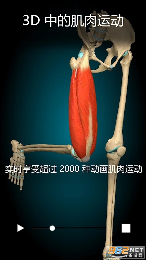 Anatomy Learning破解版 v2.1.351 完整版