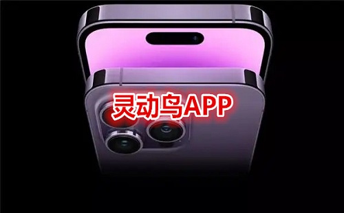 鶯APP_鶯apk_鶯ᰲ_鶯iphone