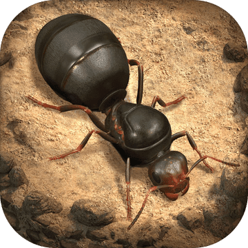 小小蚁国国际版(The Ants)最新版v3.1.0