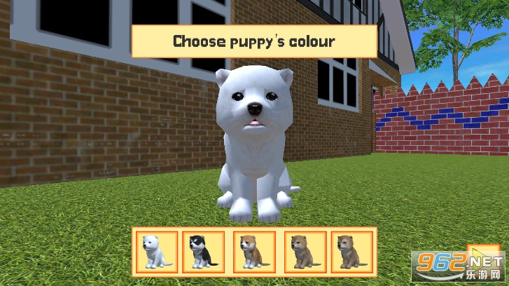 ɐ۵СӢİ(Cute Pocket Puppy 3D - Part 2)