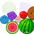 ρKˮρK[(Watermelon Merge: FruitDrop)v1.10 С[