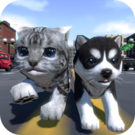 ɰèС3DϷ(Cute Pocket Cat And Puppy 3D)