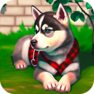 Cute Pocket Puppy 3DСϷŮ2024 v1.2.3.1