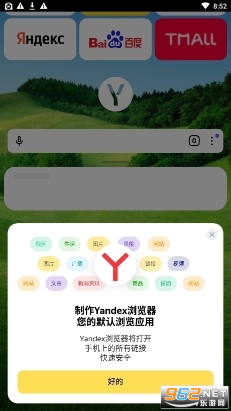 }(Yandex Browser)