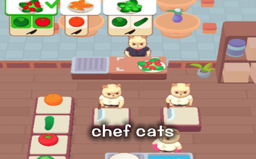 chef cats_chef catsϷ_ʦèϷ_èʦϷ