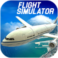 ģ°(Crazy Flight Simulator 2017)
