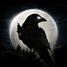 ҹѻ(Night Crows)¹ٷ