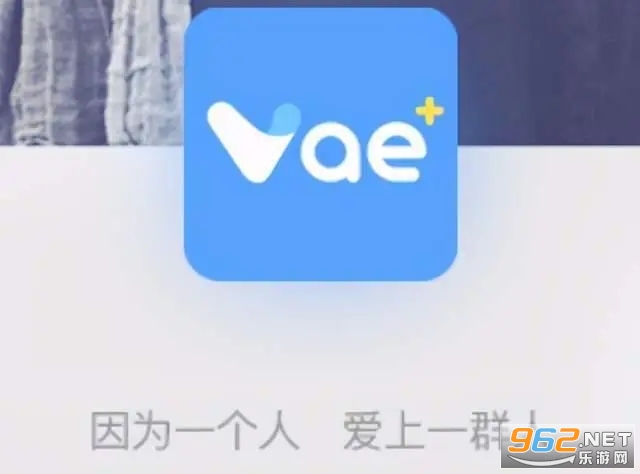 vae °汾