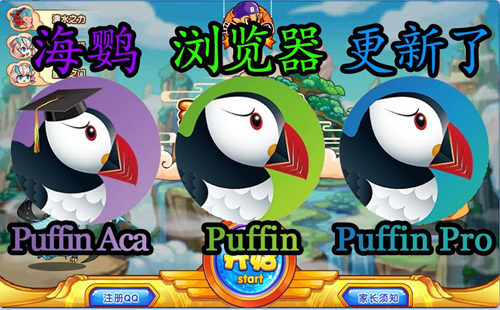 Puffin_Puffinٷ_