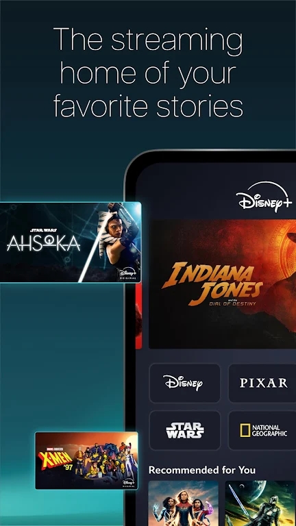 disney+ tvv3.8.1-rc4-2024.10.22 Ӷ˽ͼ3