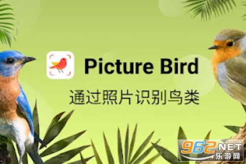 Picture Birdʶapp