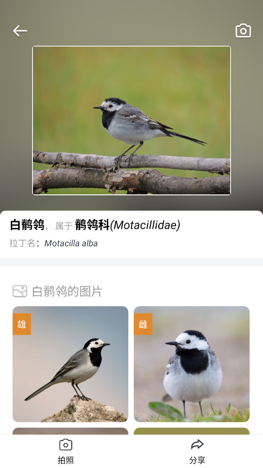 Picture Birdʶappv2.9.28ͼ0